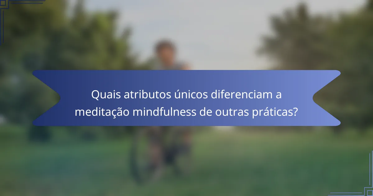 Quais atributos únicos diferenciam a meditação mindfulness de outras práticas?