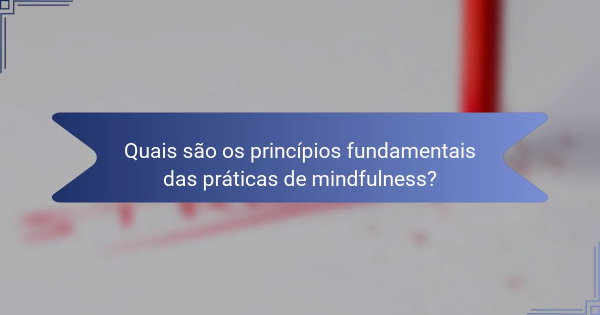 Quais são os princípios fundamentais das práticas de mindfulness?