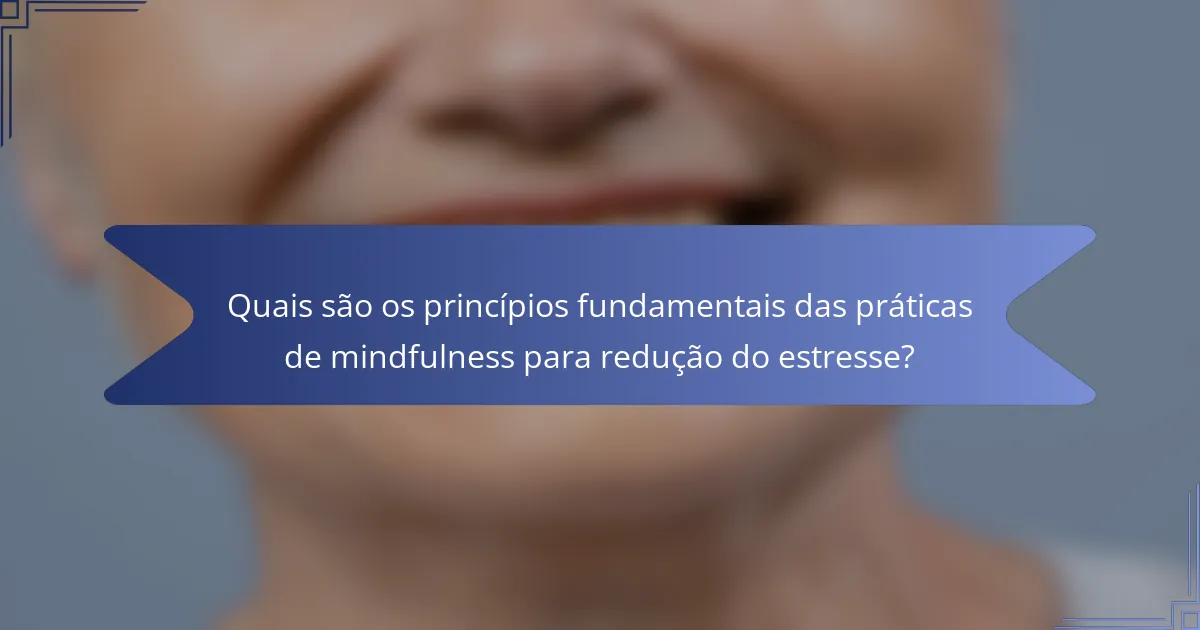 Quais são os princípios fundamentais das práticas de mindfulness para redução do estresse?